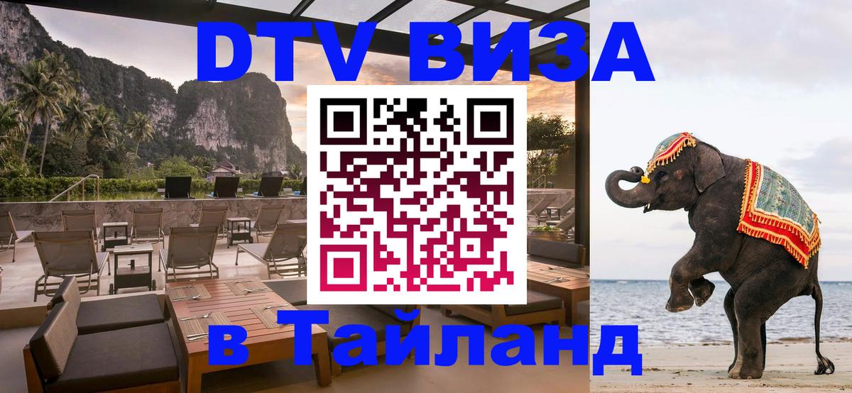 Оформление DTV визы под ключ: стоимость и тарифы, только загранпаспорт - 19.11.2025 